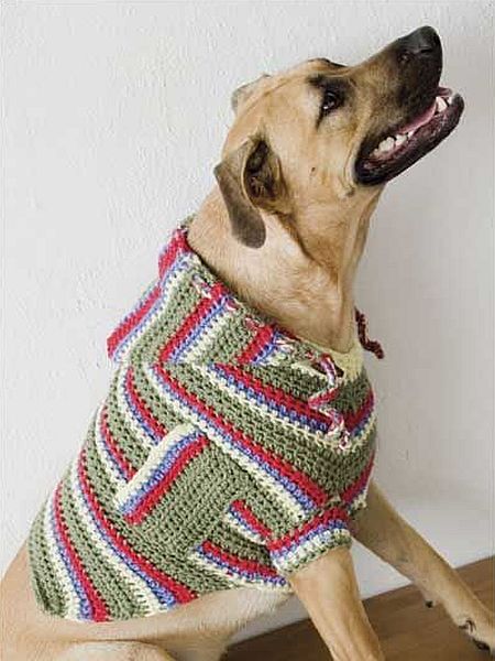 Hooded Dog Sweater with Pockets