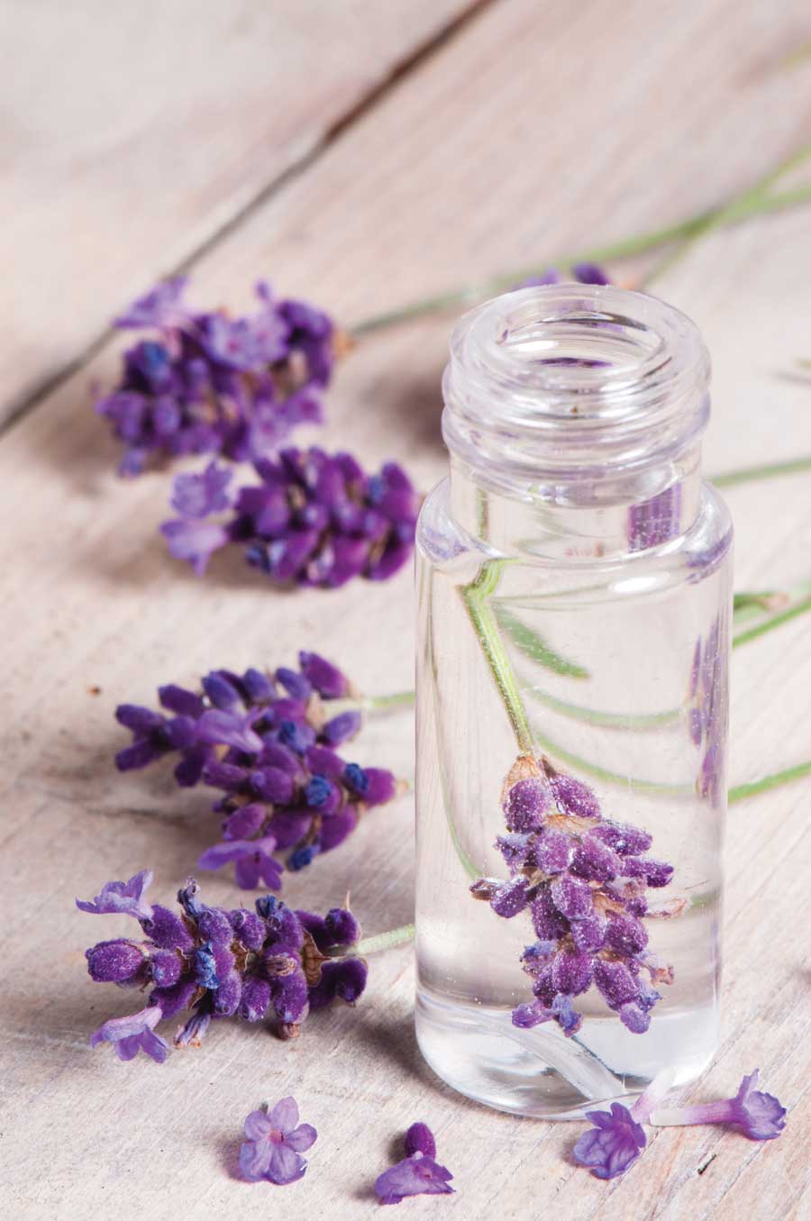 Lavender solid perfume