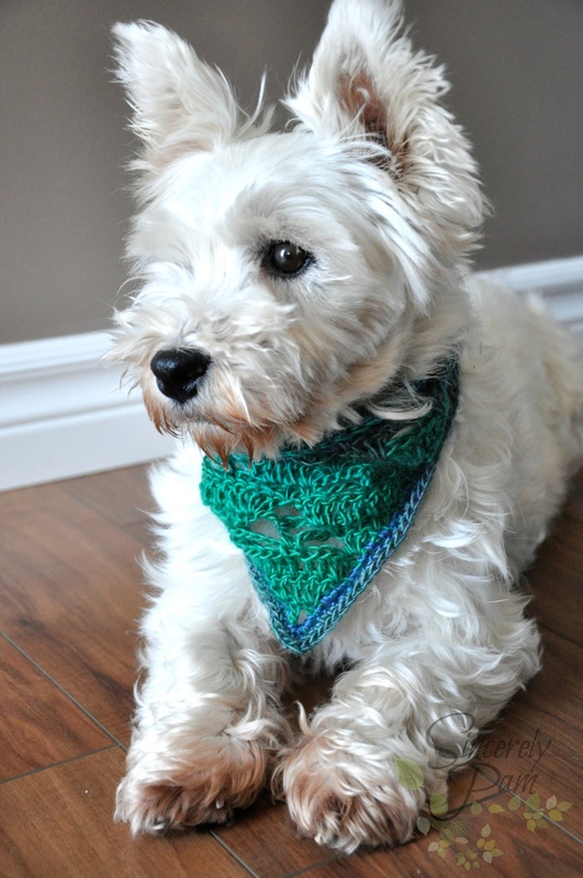 These Free Crochet Patterns Will Give You the Best Dressed Dog in Town