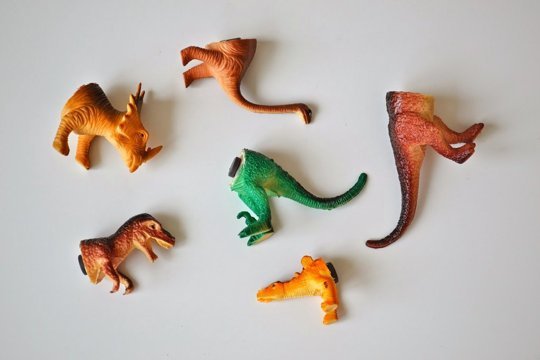 Dinosaur magnets