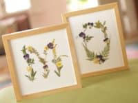 Pressed flower monograms 200x150 Gorgeous Crafts Made With Pressed Flowers