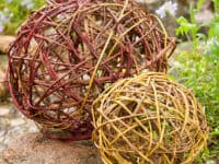 dogwood globe 200x150 Beautify Your Home with One of These Affordable DIY Garden Globes