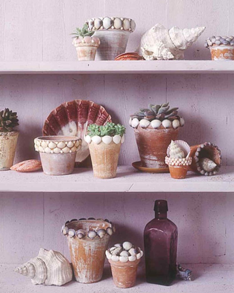 seashell flowerpots