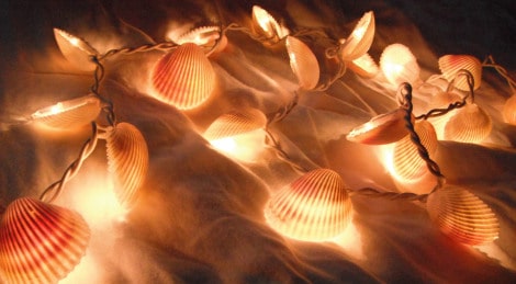 Seashell string lights