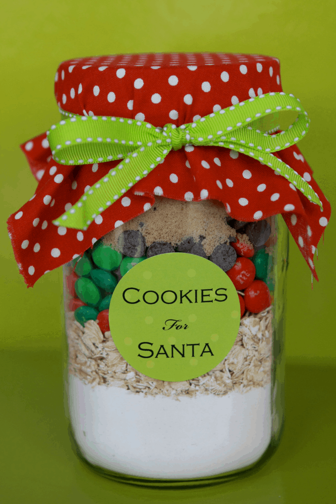 Cookies in a jar for Santa.jpg