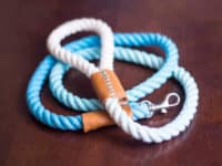 Ombre Leash 200x150 DIY Dog Leashes for Your Furry Best Friend