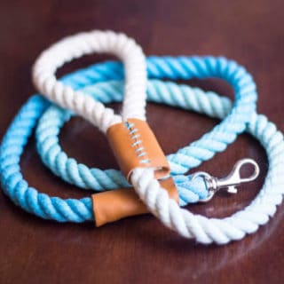 DIY Dog Leashes for Your Furry Best Friend
