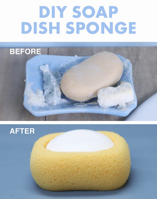 Sponge soap dish