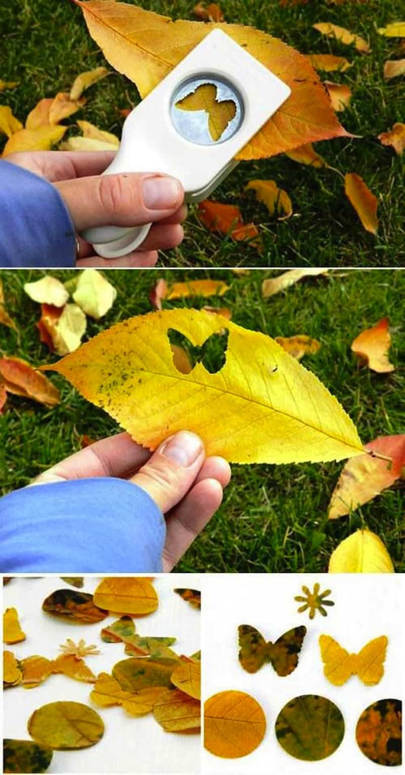 Hole punch leaves