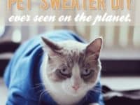 Cat sweater from a toddler sweater 200x150 Adorable Outfits: DIY Cat Clothing For your Furry Friend