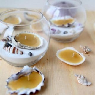 10 Gorgeous Seashell Crafts that Usher in Coastal Charm