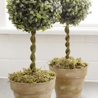 Small and Stunning DIY Topiaries You’ll Want In Your Home