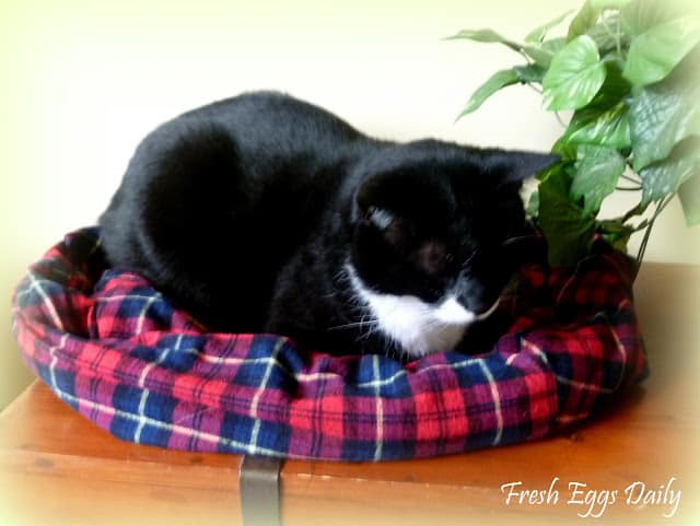 Flannel cat bed
