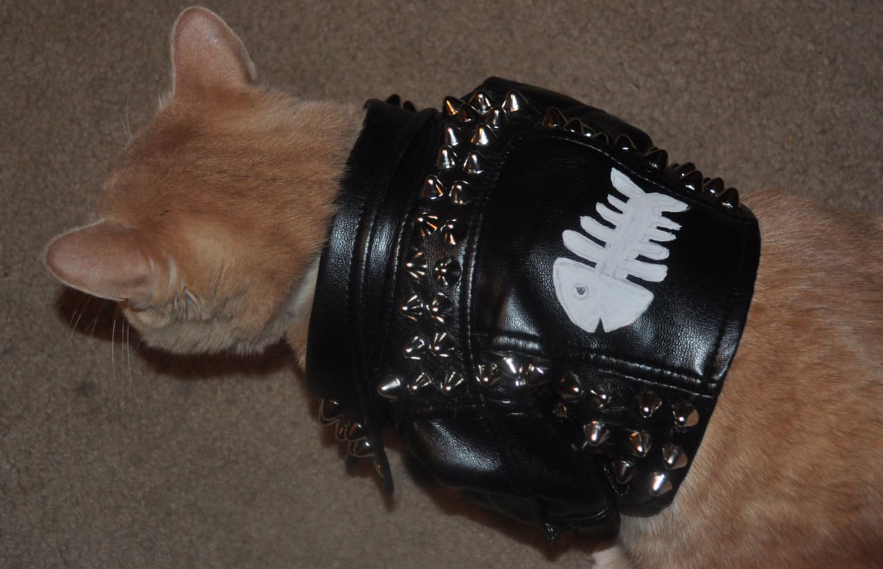 Kitty cat leather jacket