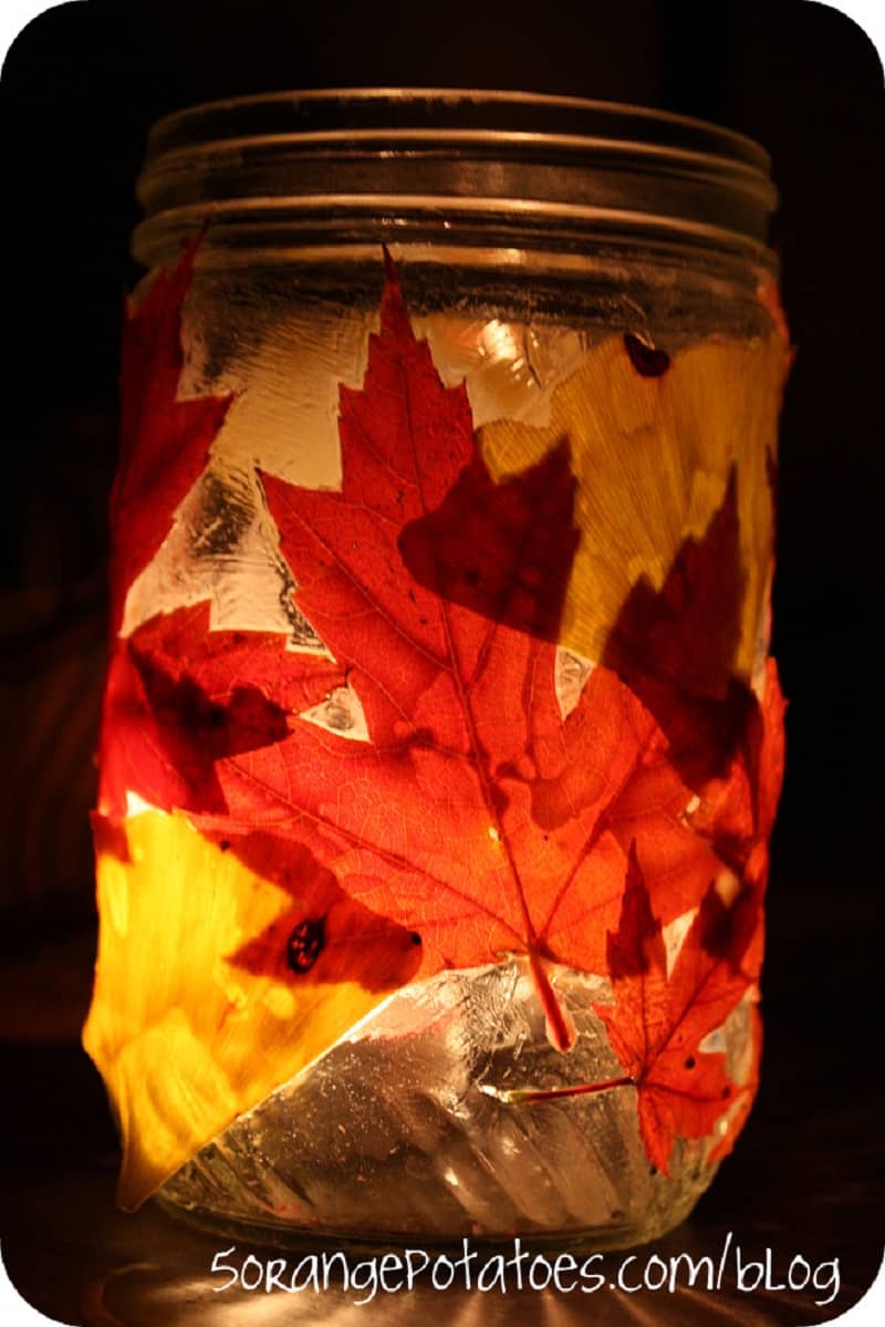 Leaf lantern