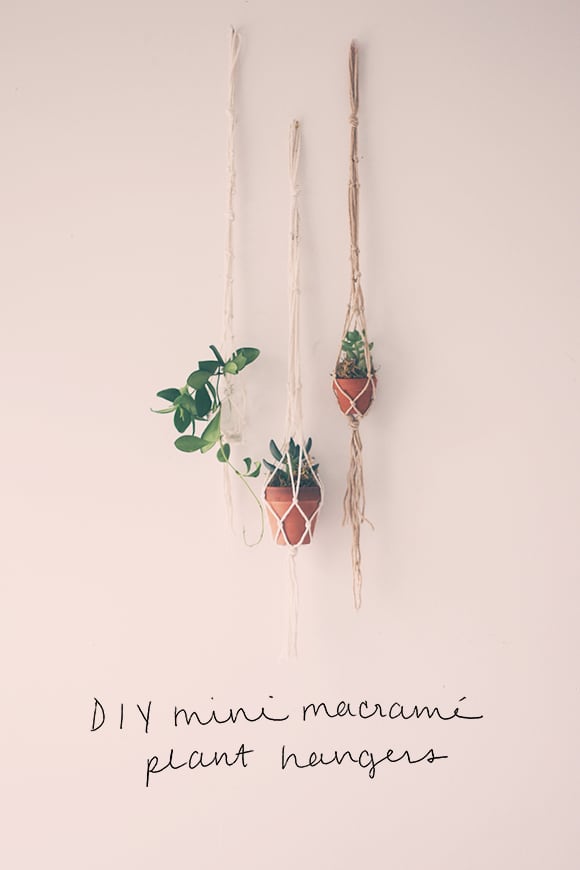 Mini macrame plant hangers