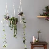DIY Macrame Plant Holders: A Chic Way to Hang Indoor Plants 