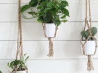  DIY Macrame Plant Holders: A Chic Way to Hang Indoor Plants 