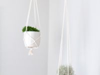  DIY Macrame Plant Holders: A Chic Way to Hang Indoor Plants 