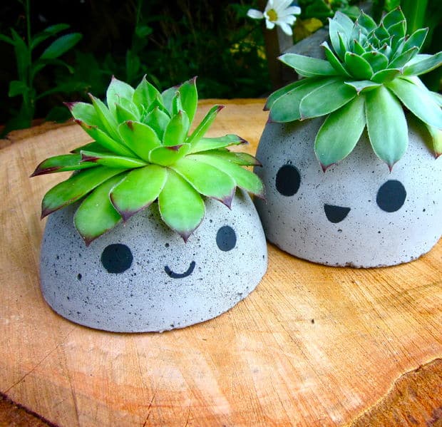 Cute concrete planter