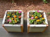 Charming and Innovative: 14 DIY Concrete Planters 
