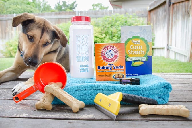 DIY Dog Shampoos for Soft Healthy