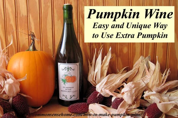 Homemade pumpkin wine