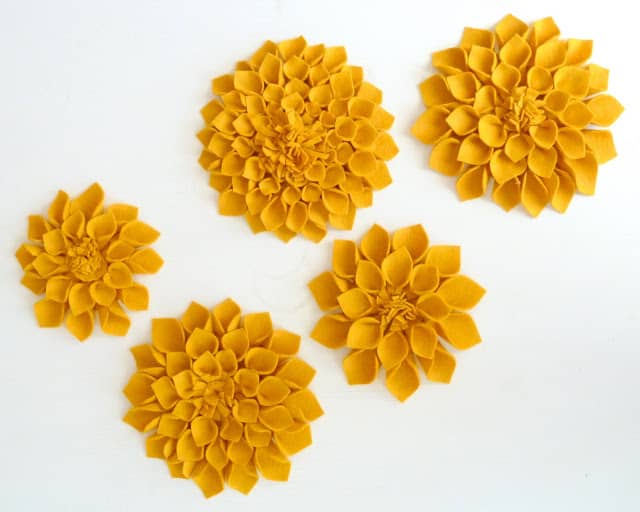 Mesmerizing yellow flowers