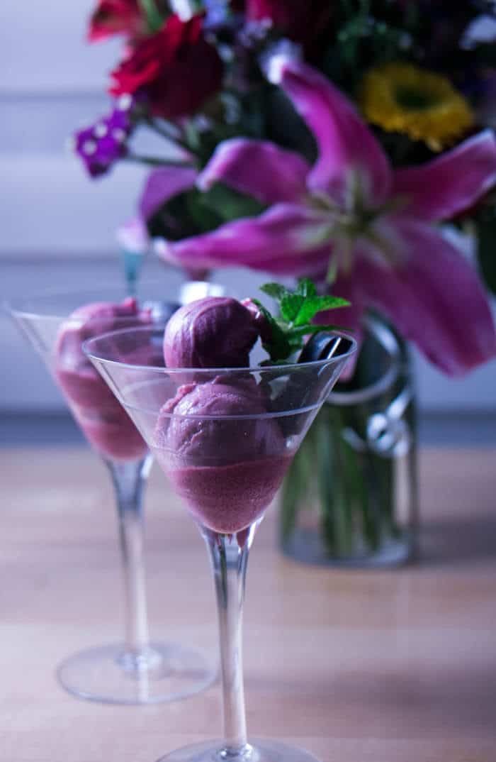 Mulled wine and plum sorbet