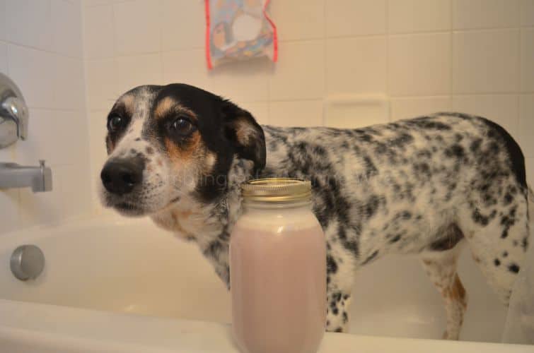 Simple dog shampoo