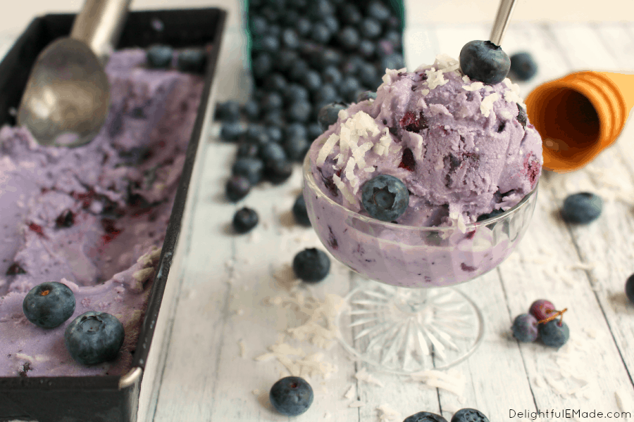 Blueberry coconut ice cream