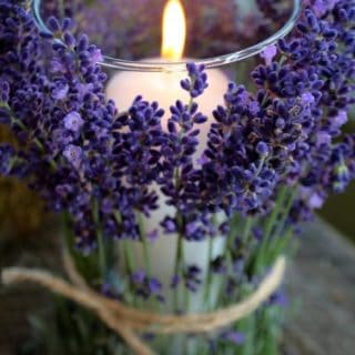 Awesome Purple DIY Ideas You Must Check Out