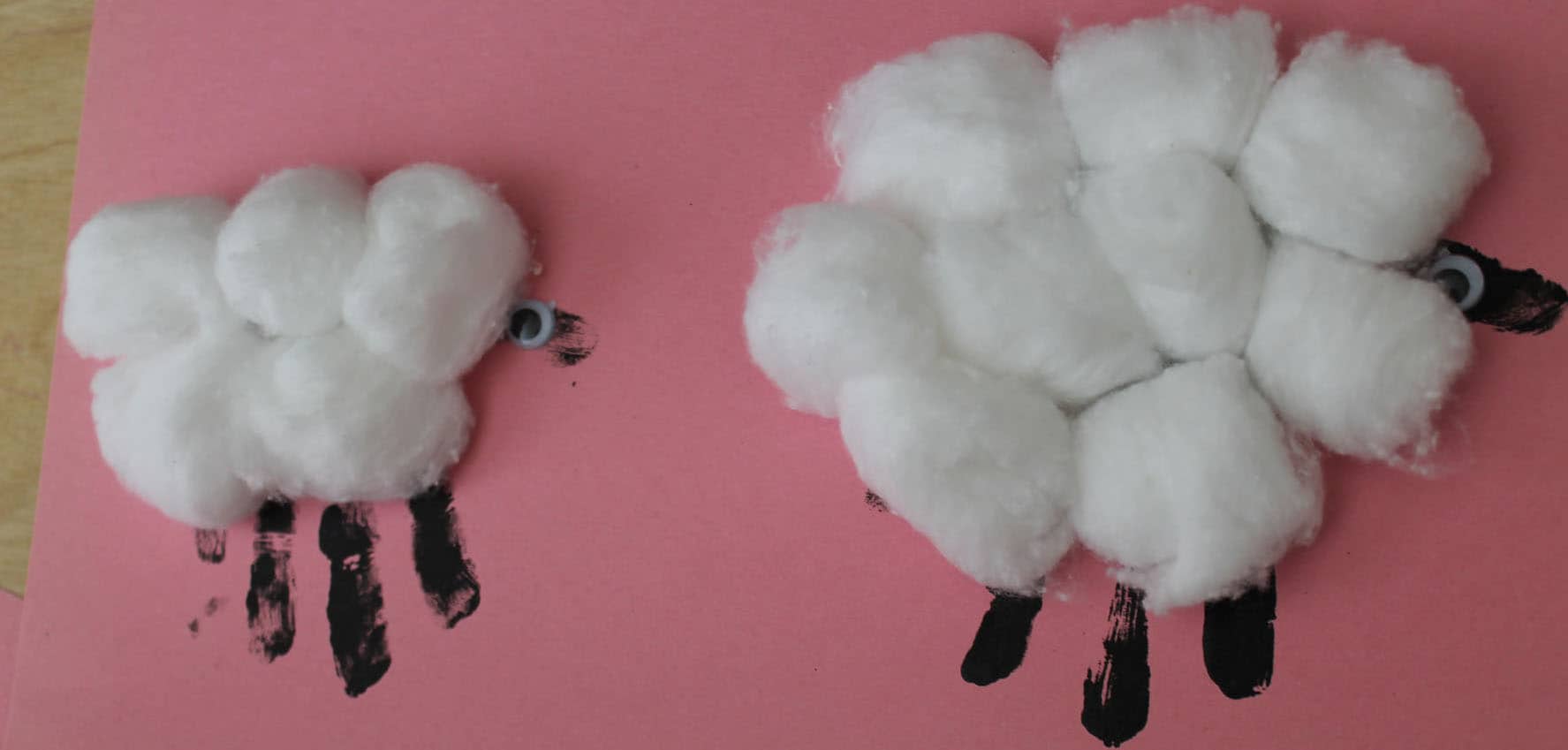 Little cotton ball sheep