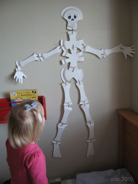 Paper plate skeleton