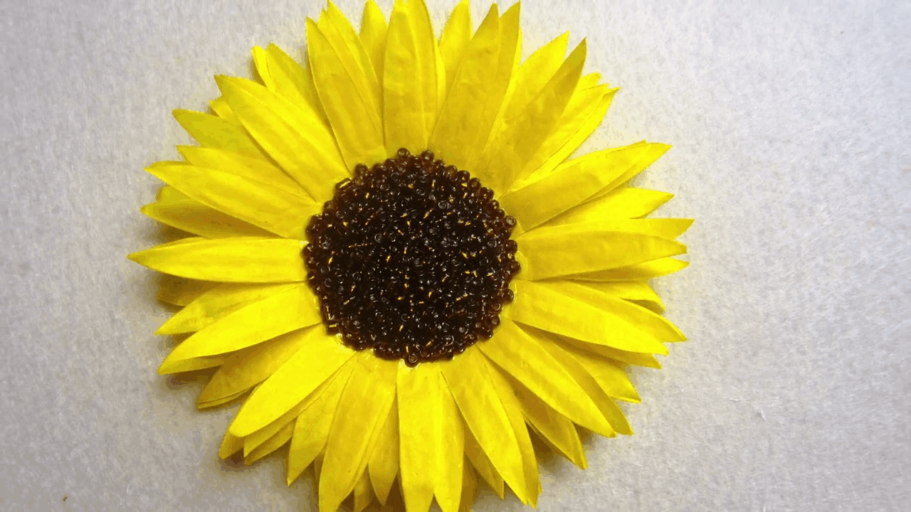 Coffee filter sunflower