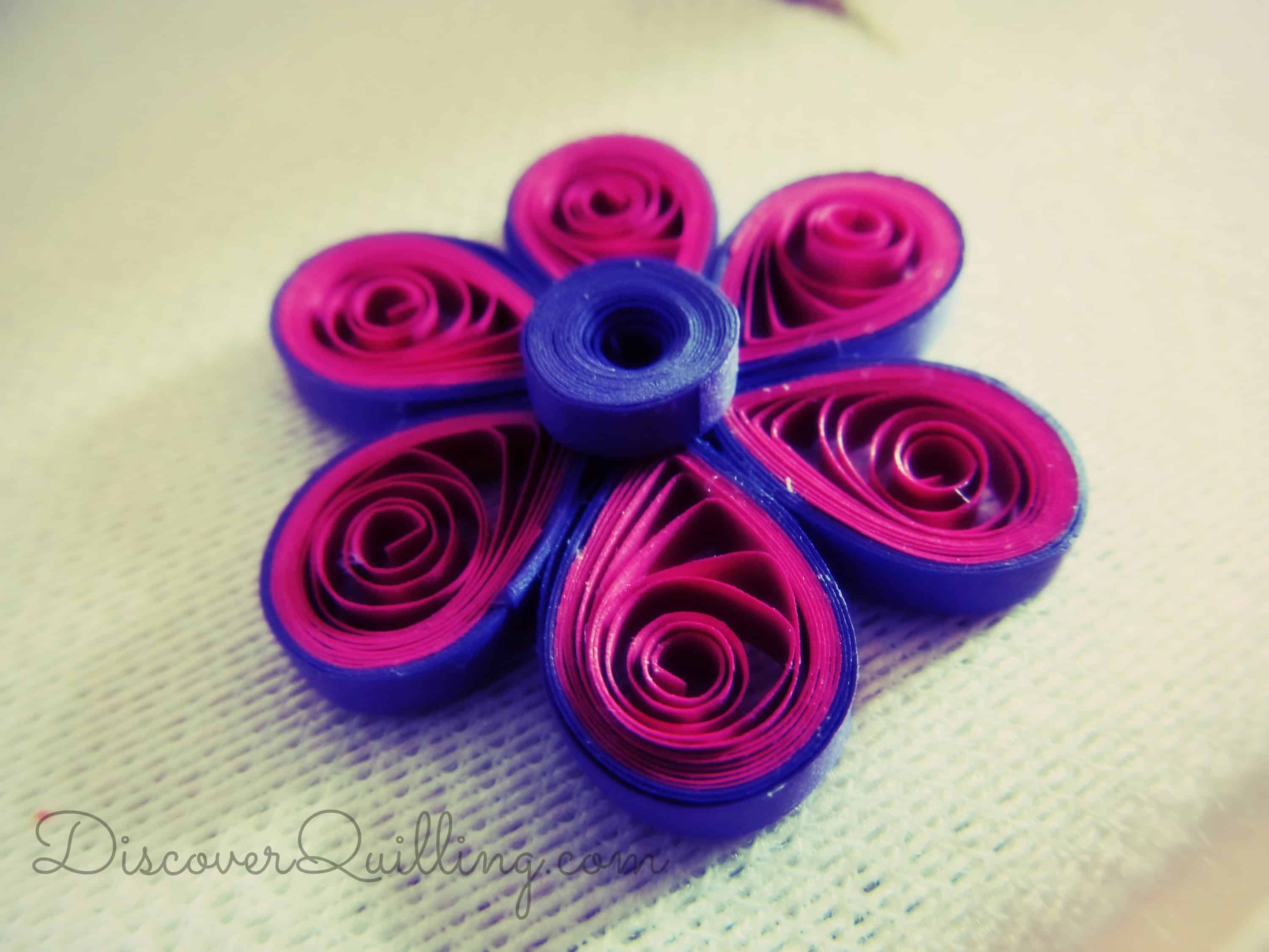 Dual coloured flower with a raised centre