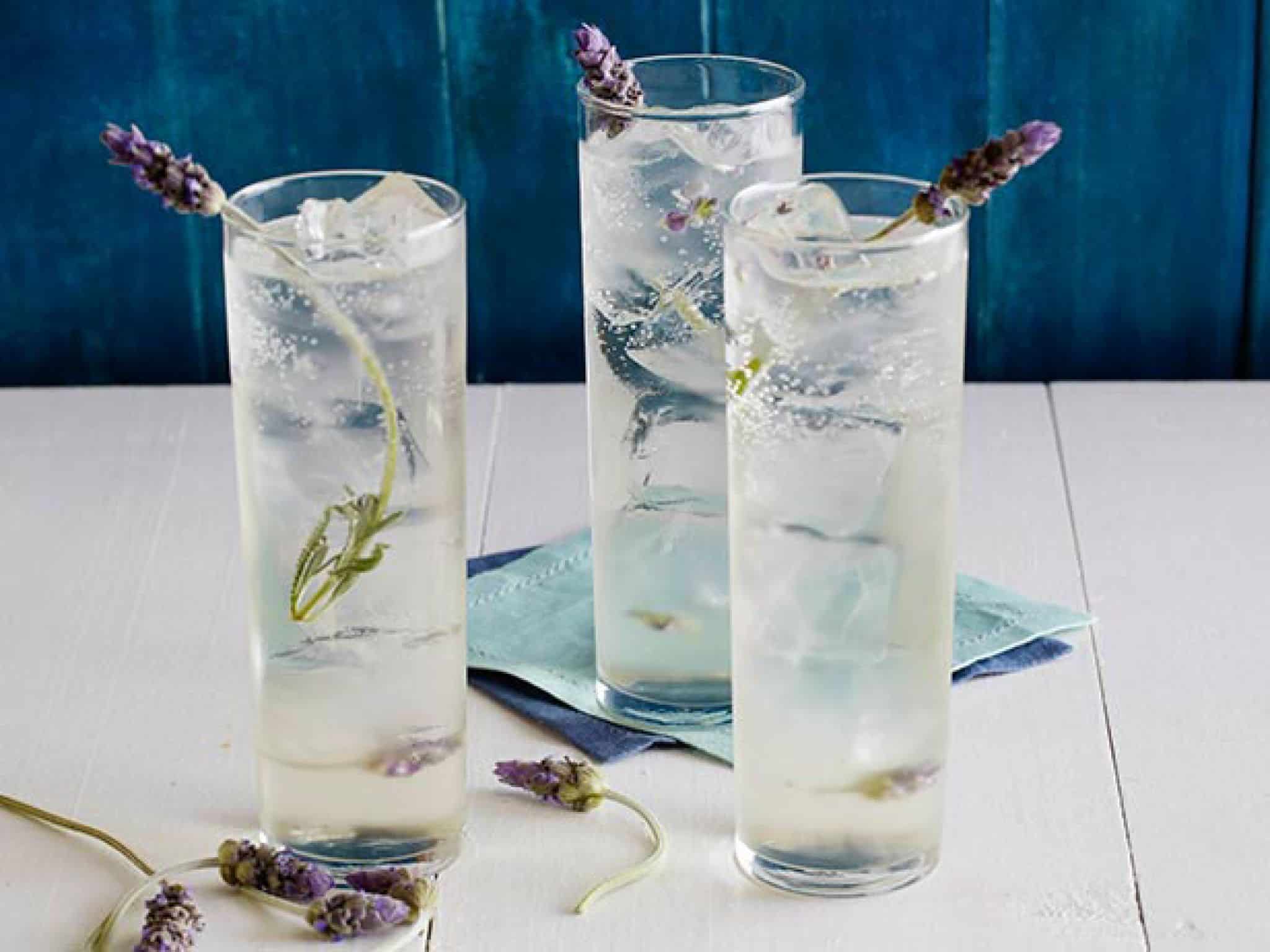 Lavender wildflower cocktail
