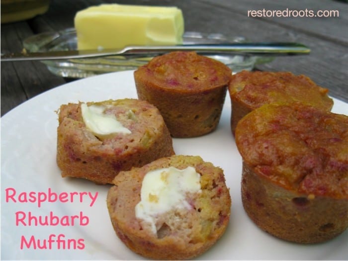 Paleo raspberry rhubarb muffins