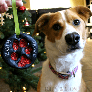 Four-Legged Love: 10 DIY Ideas That Honor the Special Paws in Your Life 