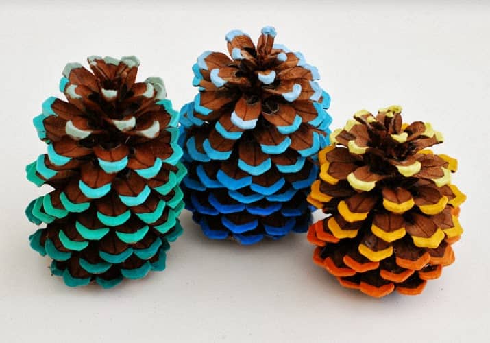 Ombre pinecones