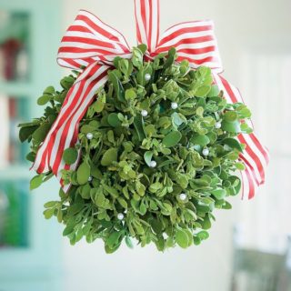 A Holiday Smooch: DIY Mistletoes to Hang Around Your Home 