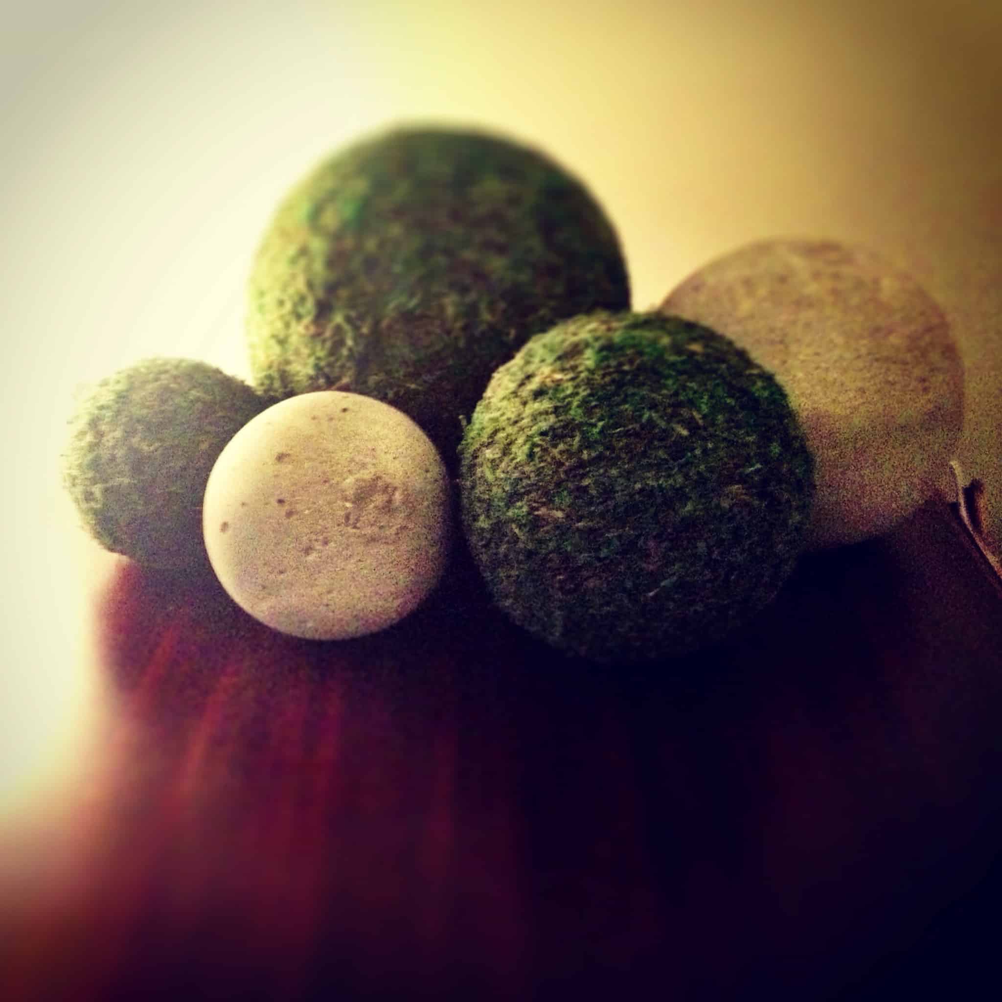 DIY moss balls