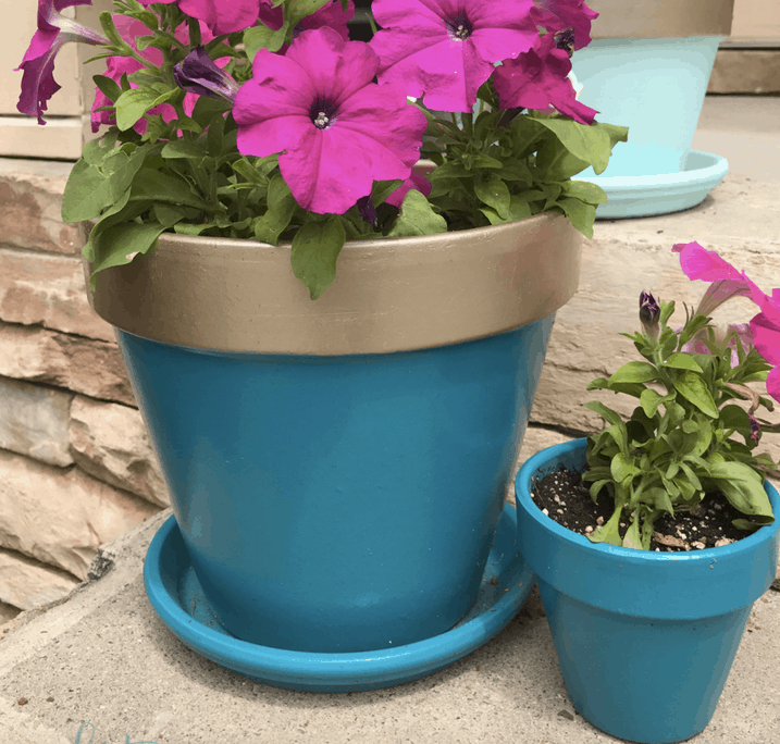 Bicolored terra cotta pots