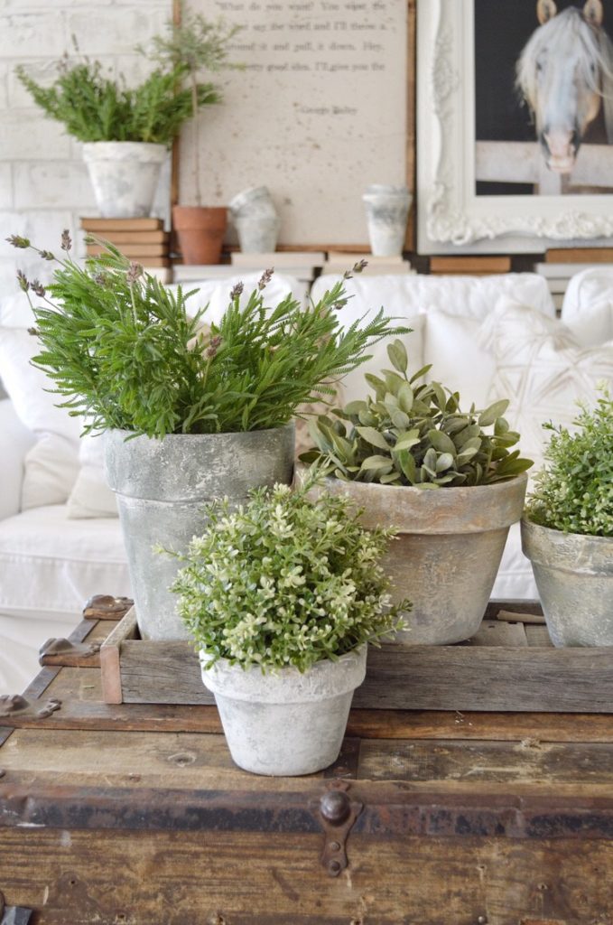 Planting with Style: DIY Painted Terra Cotta Pots 