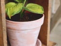  Planting with Style: DIY Painted Terra Cotta Pots 