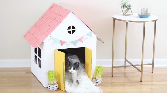 Cardboard box cat house