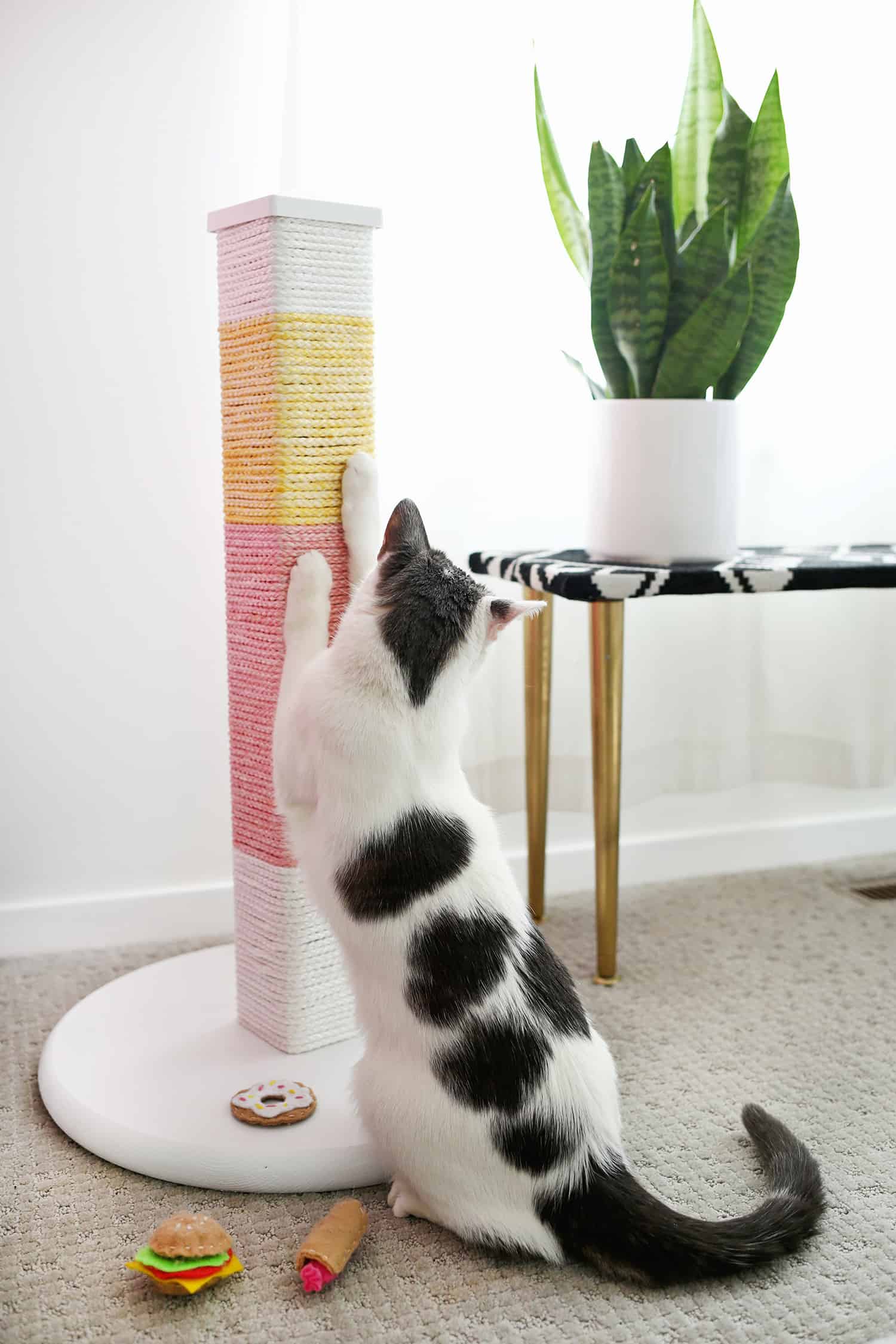 Color blocked scratching post