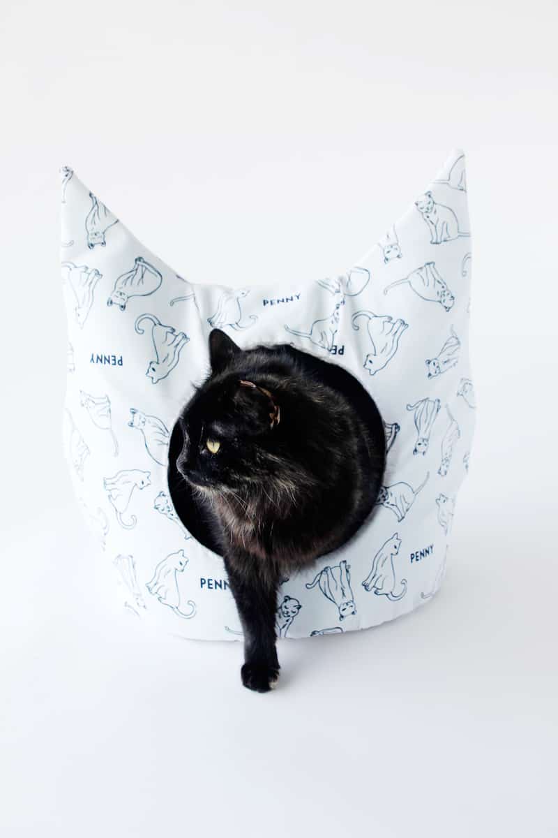 Personalized cat bed