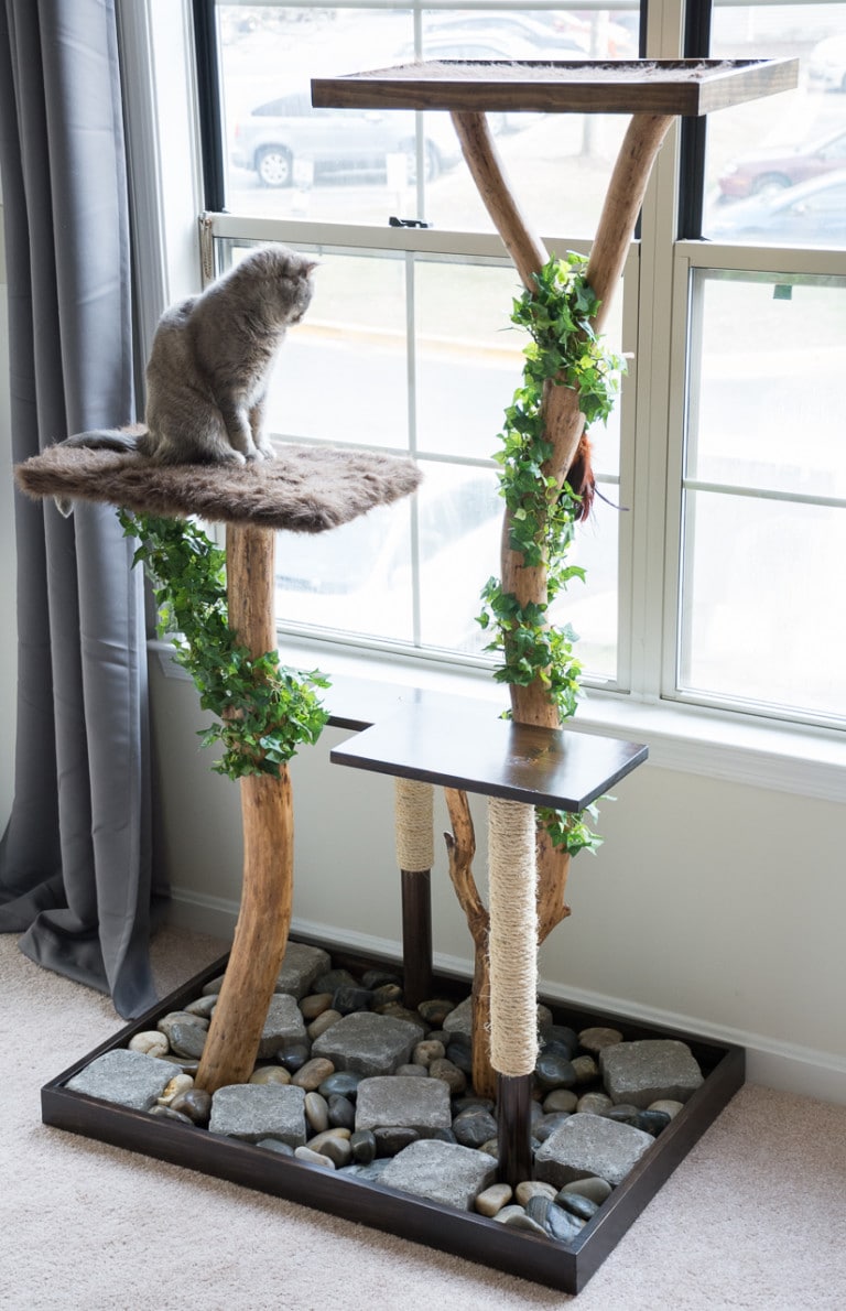 Real branches cat tree