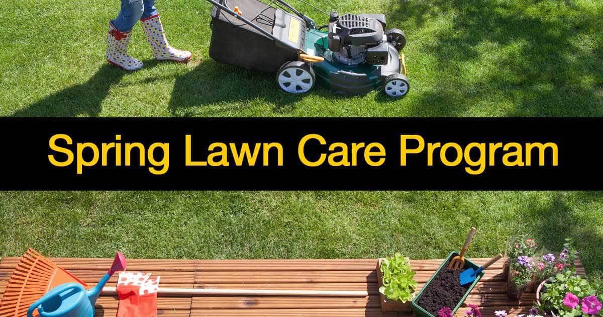 Seeding your lawn early